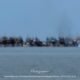 Masyarakat Pesisir Pasir Padi Angkat Suara, Minta Jangan Ada Narasi yang Menyudutkan Warga